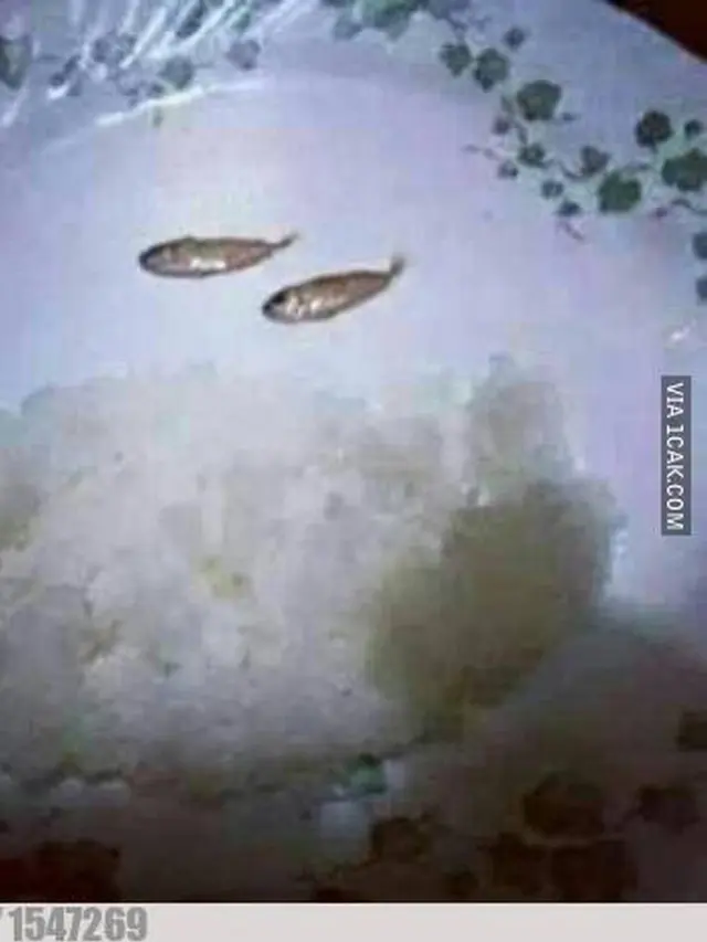 10 Lauk Makan Pakai Ikan Ini Dijamin Enggak Bikin Kenyang, Kocak