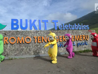 Warga berkostum teletubbies berjalan menghibur wisatawan di Bukit Teletubies kawasan Taman Nasional Bromo Tengger Semeru (TNBTS), Jawa Timur, Selasa (26/3). Kegiatan yang berlangsung sejak sekitar 1,5 bulan lalu ini dilakukan warga asli Tengger dengan seizin pihak TNBTS. (merdeka.com/Arie Basuki)