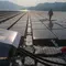 Perempuan Didorong Jadi Penggerak Transisi Energi