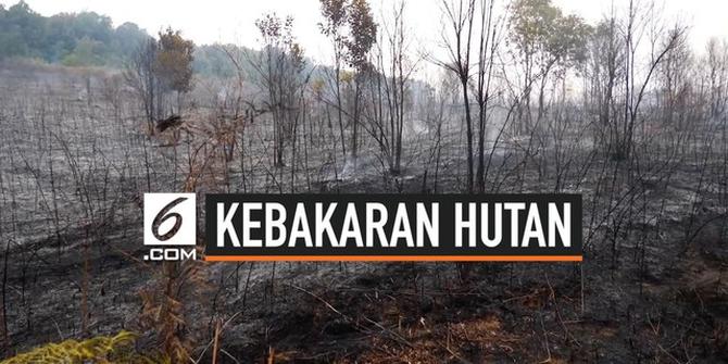 VIDEO: Lokasi Kebakaran Hutan Kalimantan Timur Meluas