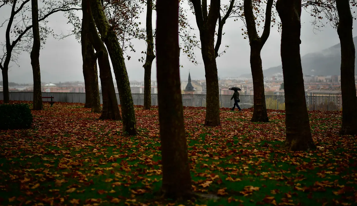 Pejalan kaki melewati deretan pepohonan saat hujan musim gugur di Pamplona, Spanyol, Selasa (20/11). (AP Photo/Alvaro Barrientos)