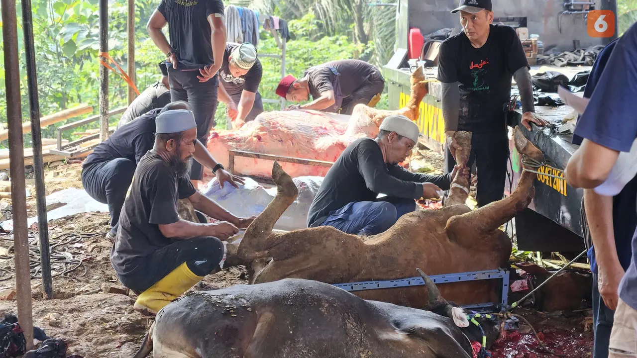 Pemotongan Daging Kurban di Hari Raya Idul Adha 2025 (Foto: Aditya Eka Prawira/Liputan6.com)