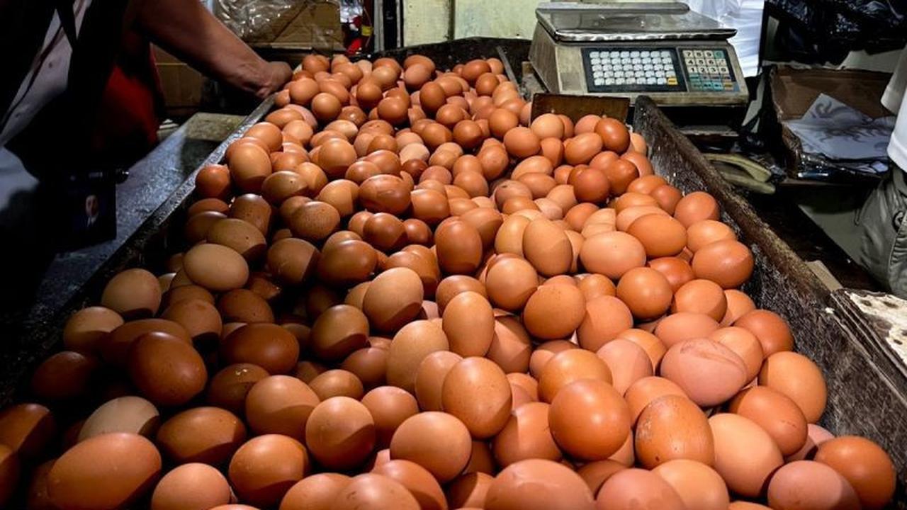 Harga Pangan Nasional Terkini: Telur Ayam Ras dan Cabai Rawit Merah Capai Level Rp32 Ribu dan Rp71 Ribu