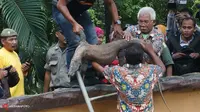 [VIDEO] Kabar Buruk! Komodo dan Rusa Bawean KBS Mati
