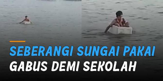 VIDEO: Seberangi Sungai Pakai Kotak Gabus, Bocah Ini Berjuang Pergi Sekolah