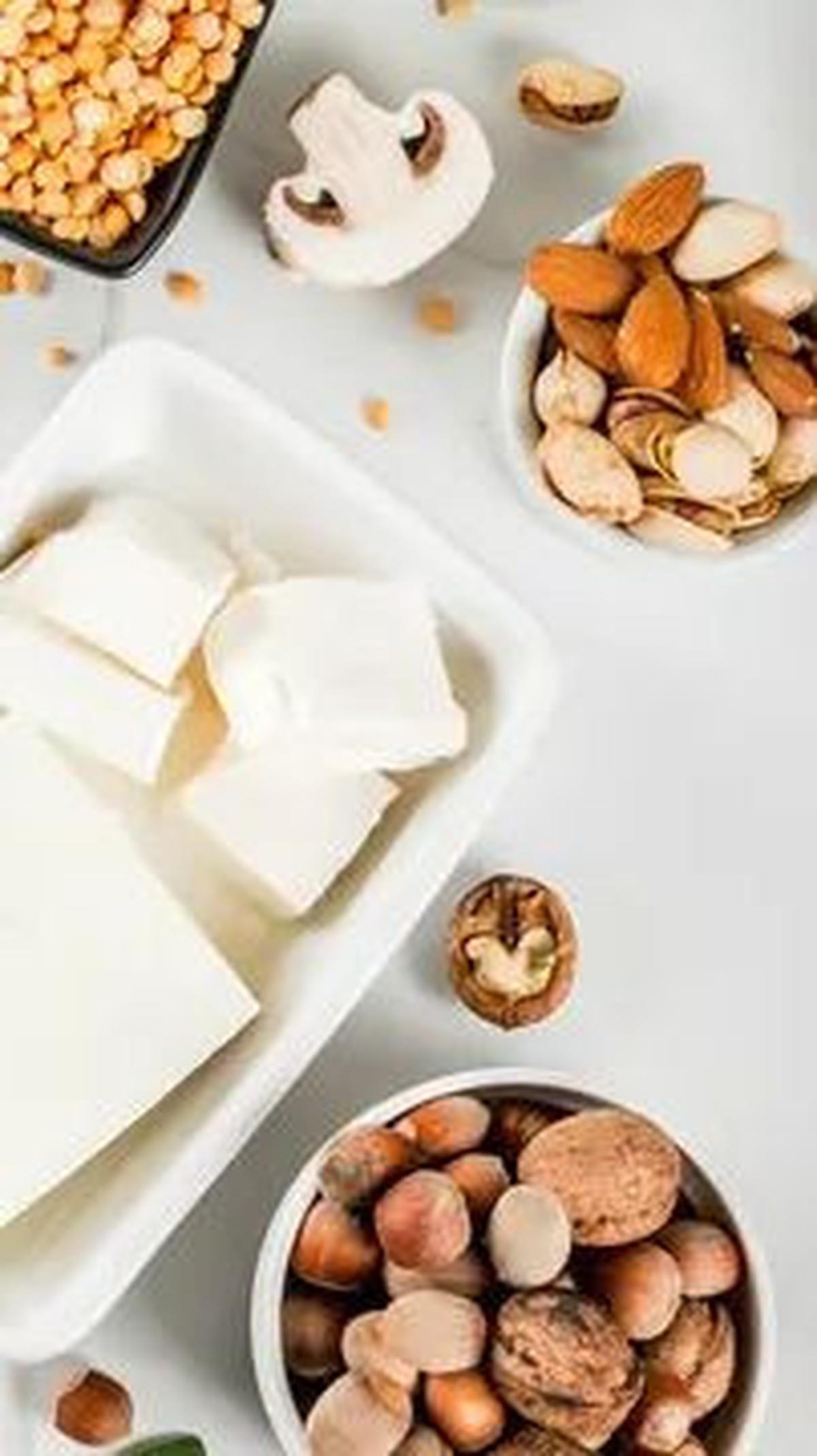 Makanan yang Kaya Akan Protein<br>