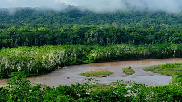 Taman Nasional Madidi, Bolivia