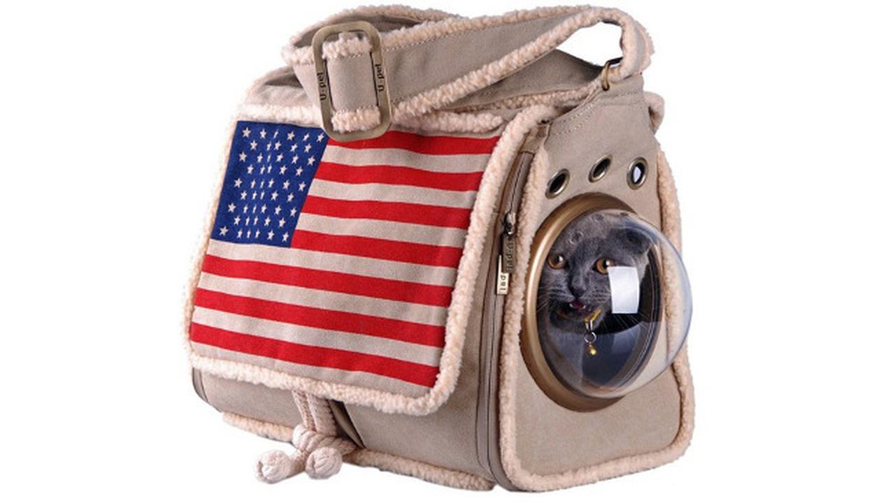 Tas yang 'Mengubah' Kucing Peliharaan jadi Astronot