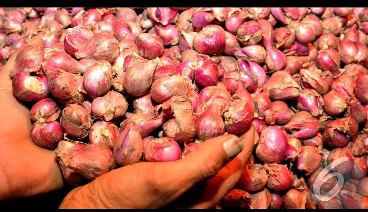 Panen yang bersamaan disejumlah daerah mengakibatkan harga bawang merah anjlok , Jakarta, Rabu (13/8/2014) (Liputan6.com/Miftahul Hayat)