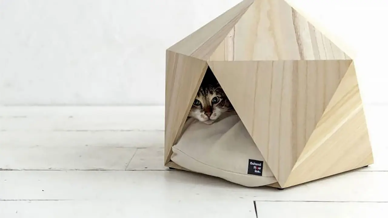 [Bintang] Tempat Tidur Geometri Bikin Kucing Kamu Bobo Nyenyak