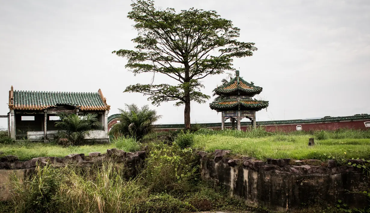 Tumbuhan liar di sekitar Istana kepresidenan Kongo yang terbengkalai di Nsele, Kinshasa, Kongo, Senin (15/5). Istana ini pernah ditempati Mobutu yang berkuasa di Kongo selama lebih dari 31 tahun. (AFP PHOTO/JOHN WESSELS)