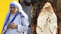 Penampakan Bunda Teresa