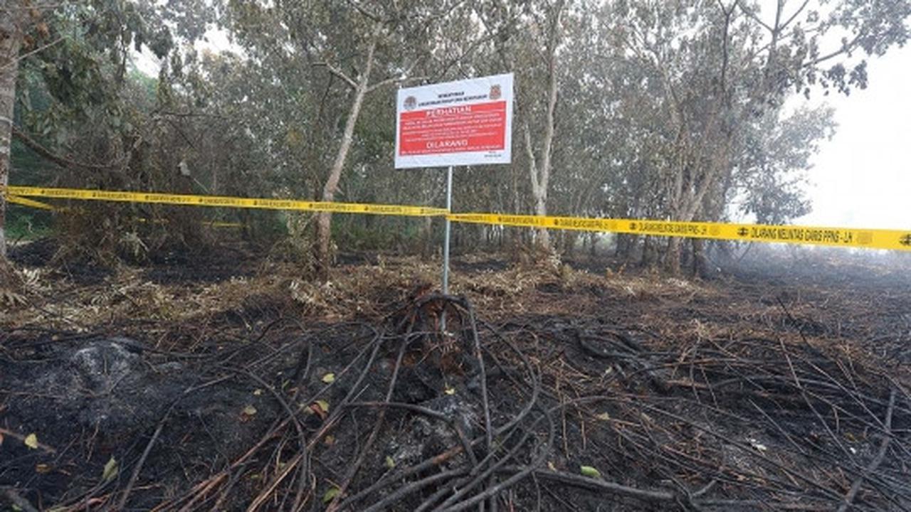 Ini lahan di Riau yang diduga sengaja dibakar