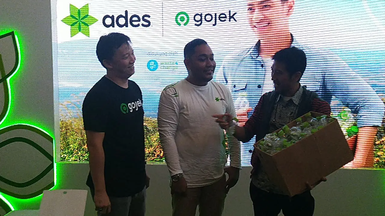 Ades