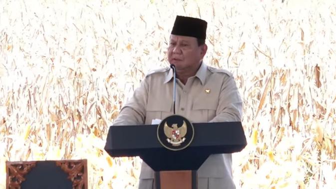 Prabowo Minta Perum Bulog Serap 1 Juta Ton Jagung di Tahun 2026