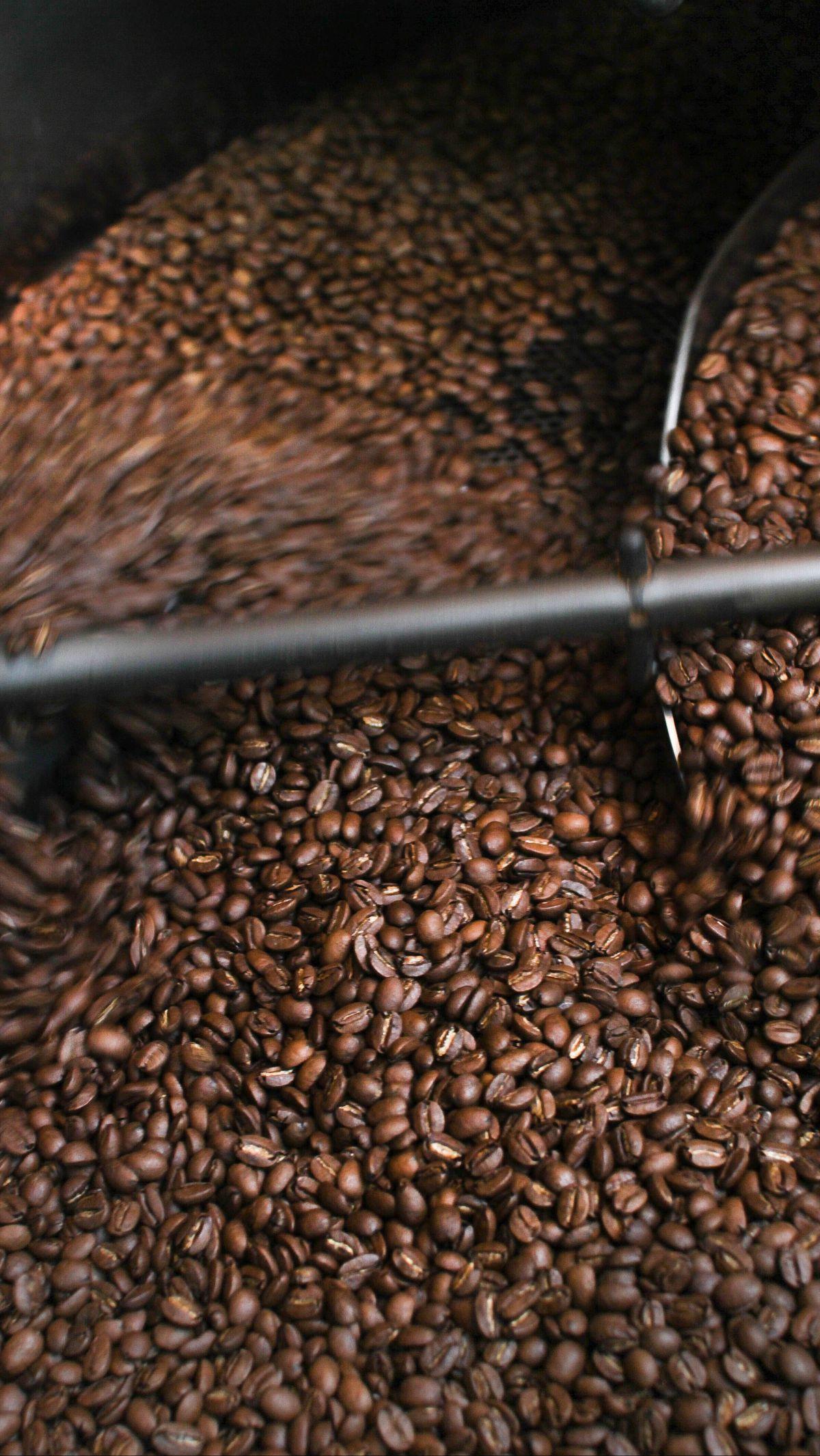 Proses roasting memiliki tingkatan berbeda, mulai dari light roast yang menghasilkan biji cokelat muda hingga dark roast yang menghasilkan biji kopi hitam legam mengkilap.