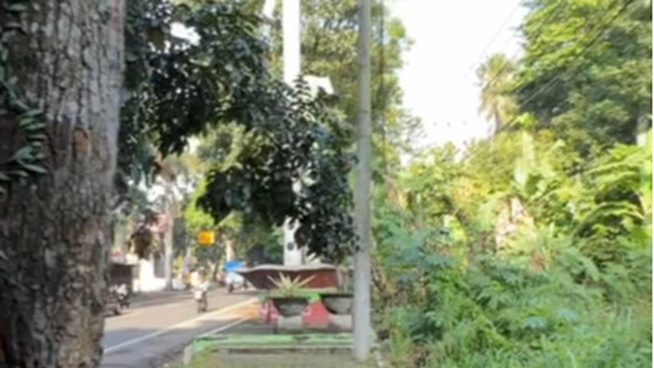 Pria Ini Temukan Rumah Terbengkalai di Tepi Jalanan, Penampakannya Bikin Ngeri