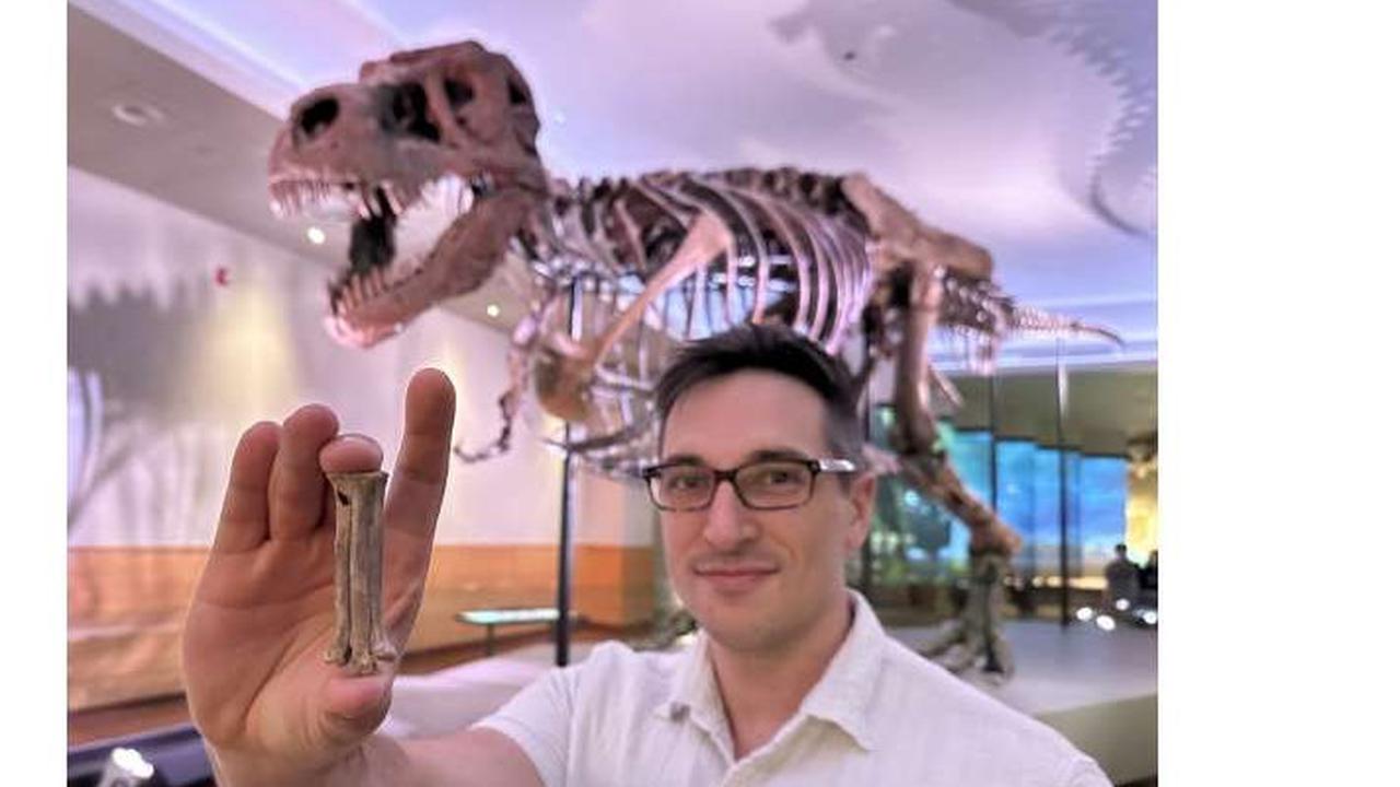 Ilmuwan Temukan Fosil Burung Predator Paling Awal yang Punah 66 Juta Tahun Lalu, Kakinya Kuat Sampai Bisa Tangkap Dinosaurus