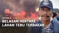 Kebakaran menghanguskan belasan hektare lahan tebu siap panen milik PTPN XI Gunungsari, Jember, Jawa Timur. Kobaran api dengan asap yang membubung tinggi memicu kepanikan warga.