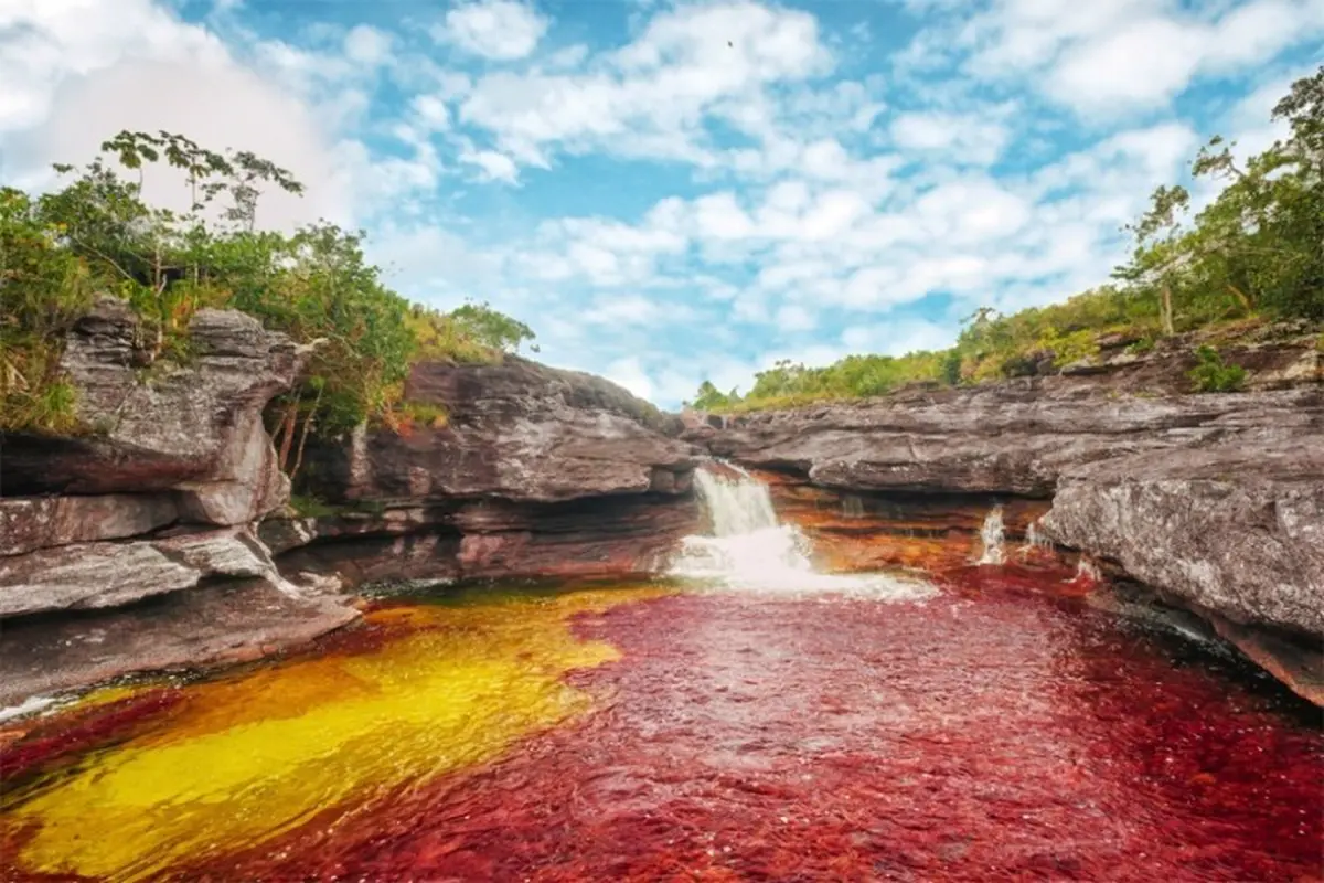 [Bintang] Cano Cristales