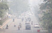 Waspada! BNPB Ingatkan Potensi Karhutla di Tengah Bencana Hidrometeorologi