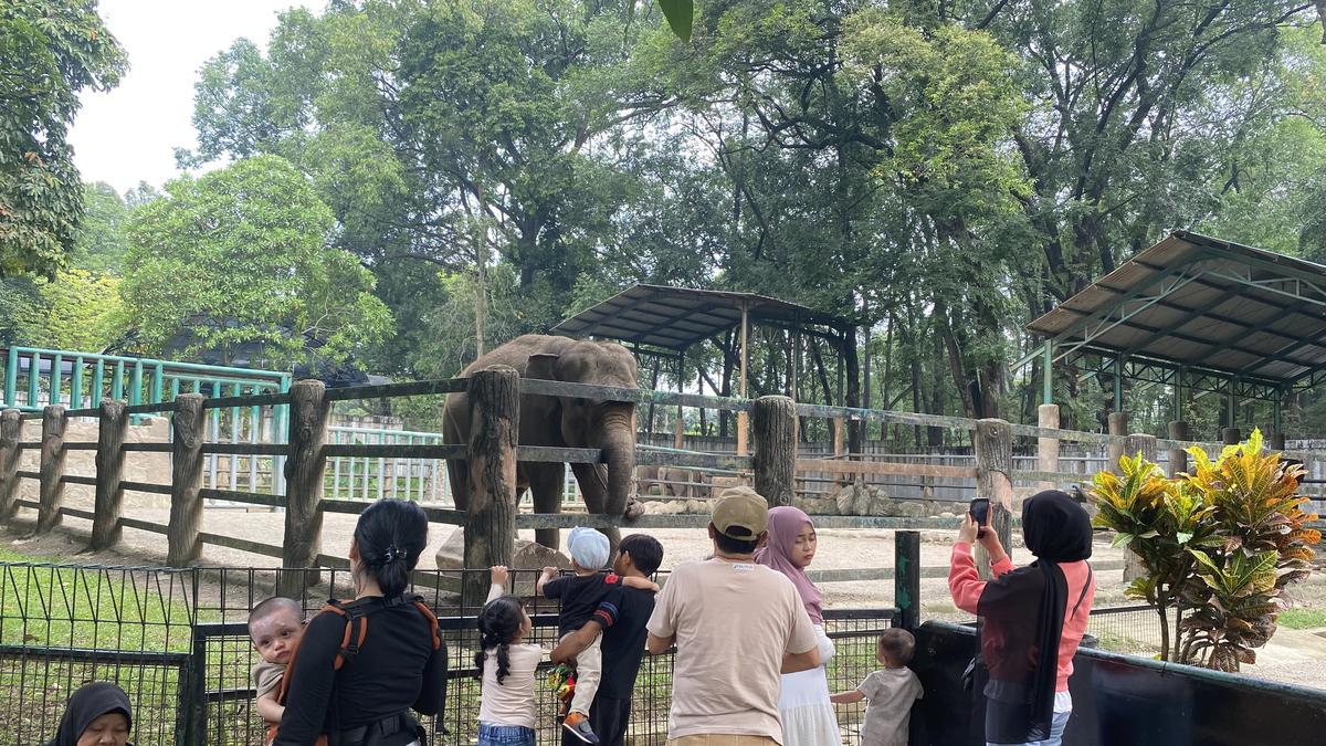 Ragunan Siapkan 27 Titik Parkir Antisipasi Lonjakan Pengunjung