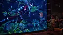 Seorang anak melihat penyelam berpakaian seperti Sinterklas memberi makan ikan di akuarium Sea Life Bangkok Ocean World di Bangkok, Thailand, Rabu (8/12/2021). Bangkok Ocean World menggelar pertunjukan selam Sinterklas untuk menyambut Natal. (Lillian SUWANRUMPHA / AFP)