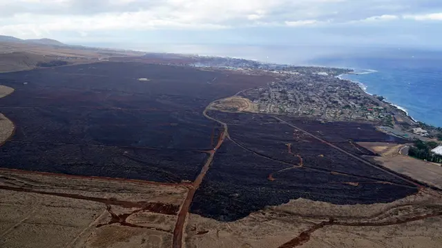 Kebakaran Hutan Hawaii