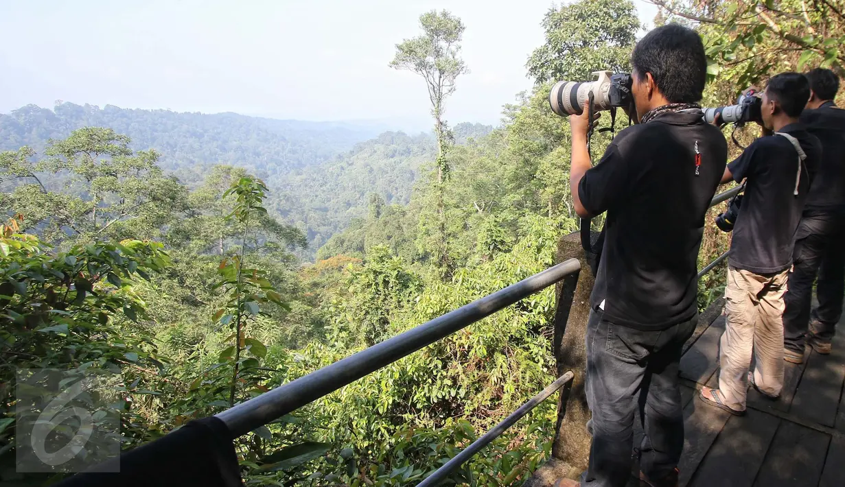 Para fotografer sedang mengambil foto Owa Jawa di Taman Nasional Gunung Pangrango, bohor, Jawa Barat, (24/11). Yayasan Owa Jawa bersama  PT Pertamina EP juga melakukan konservasi bagi hewan yang terancam punah tersebut. (Liputan6.com/Herman Zakharia)