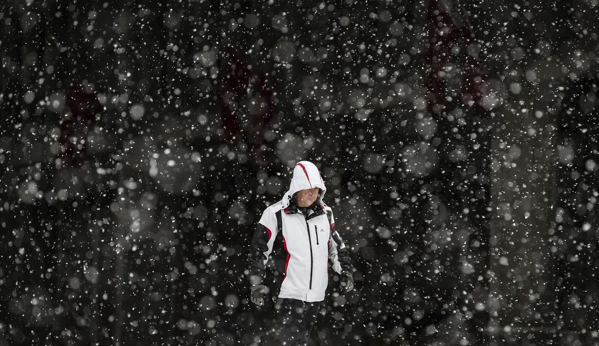 Seorang pria berjalan saat hujan salju yang cukup lebat di Universitas Simon Fraser, Burnaby, British Columbia, Kanada (21/12/2020). (Darryl Dyck/The Canadian Press via AP)