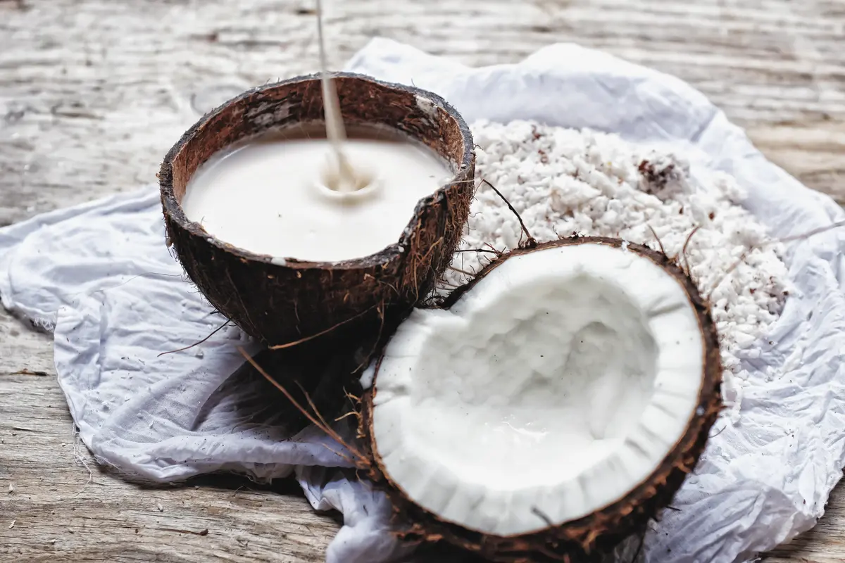 santan kelapa