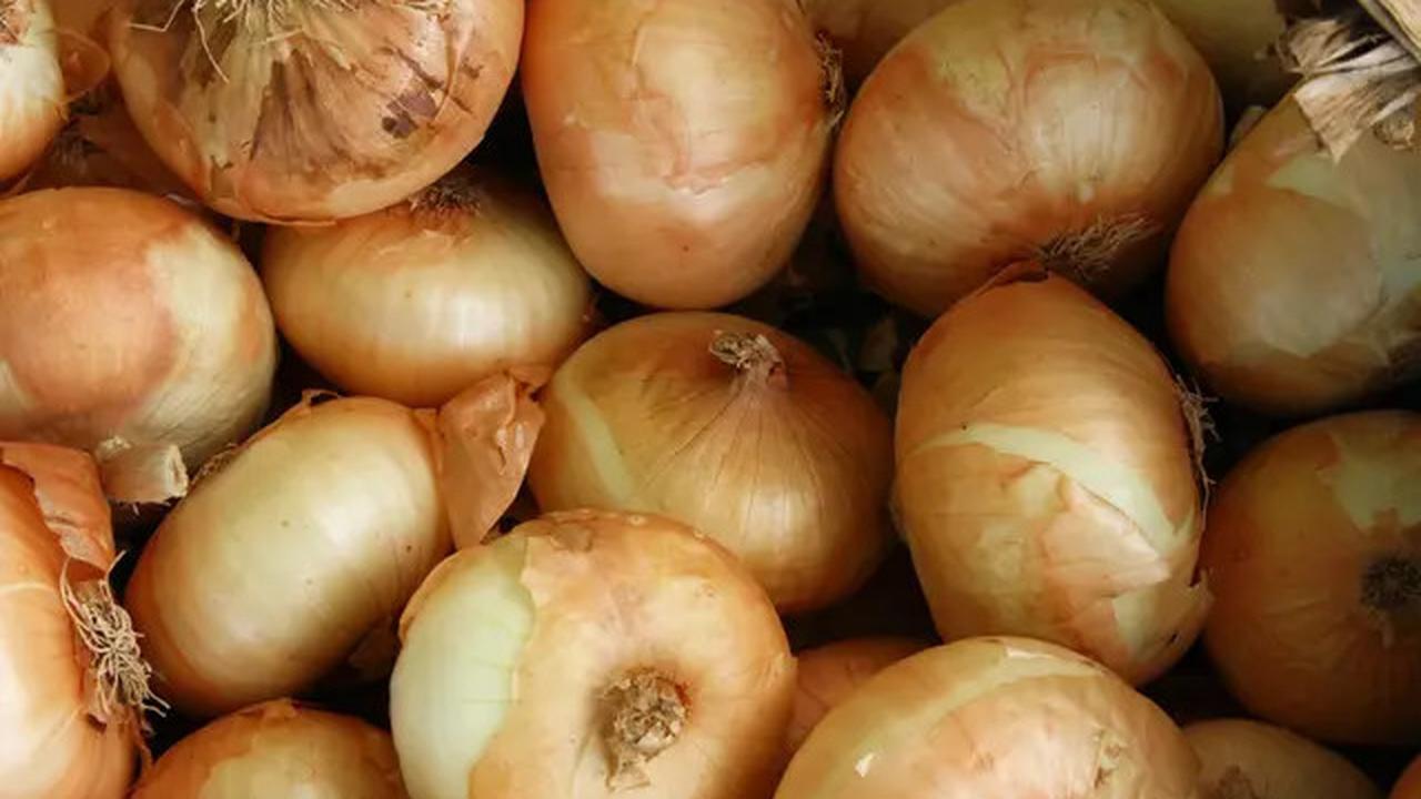 Cara Merebus Tulang Sapi untuk Kaldu Gurih Tanpa Bau Prengus dan Tidak Keruh