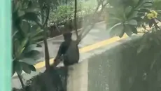 WNA jadi Korban Copet di Rasuna Said