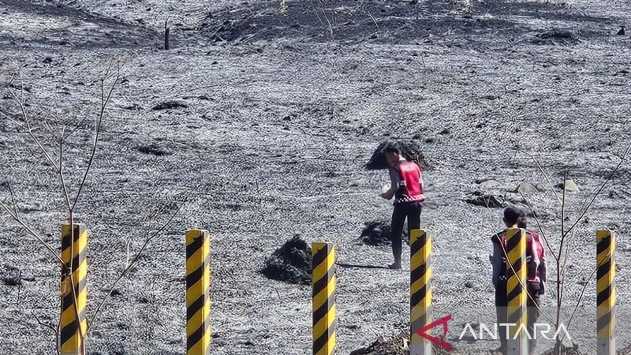 Kebakaran Bromo Meluas Drastis, 520 Hektare Kawasan TNBTS Terdampak