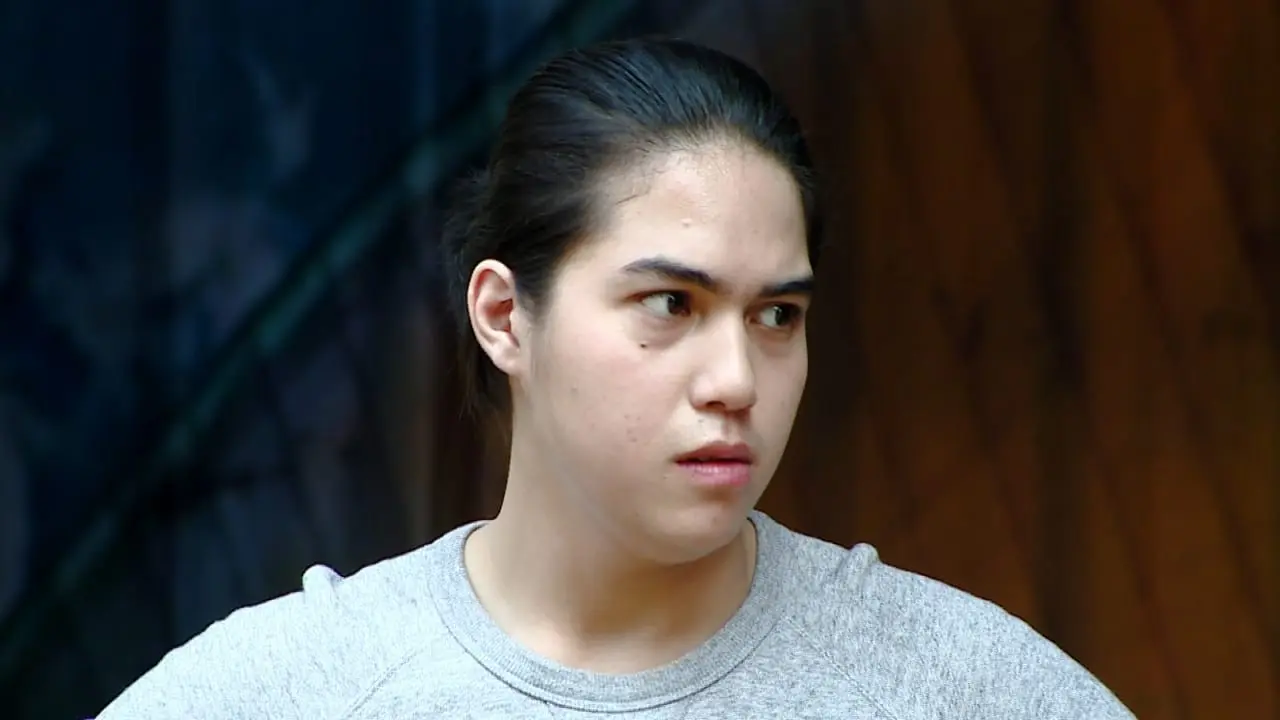 Buku Harian Seorang Istri