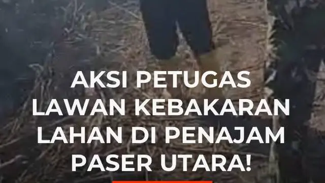 Aksi Petugas Lawan Kebakaran Lahan di Penajam Paser Utara