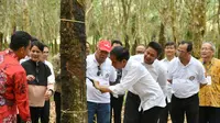 Presiden Jokowi mengecek kualitas karet di Sembawa, Kabupaten Banyuasin Sumsel (Dok. Humas Pemprov Sumsel / Nefri Inge)