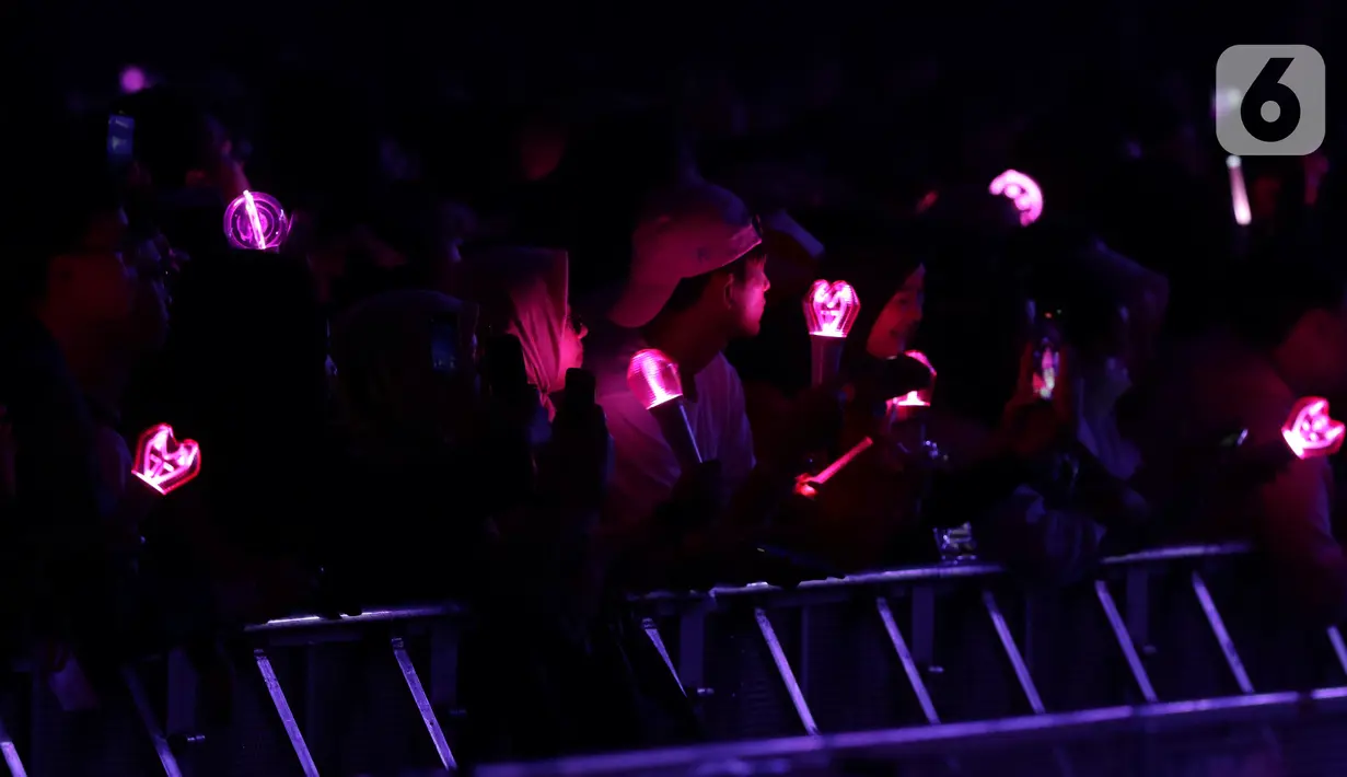 Para penggemar juga ramai-ramai mengenakan pakaian bernuansa merah muda dan berbagai atribut seperti hand banner, bandana, photocard, hingga kaus bergambar leader Girls' Generation itu. (Liputan6.com/Helmi Fithriansyah)