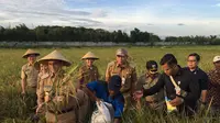 Anies Akan Ajak Anak Sekolah Tanam dan Panen Padi