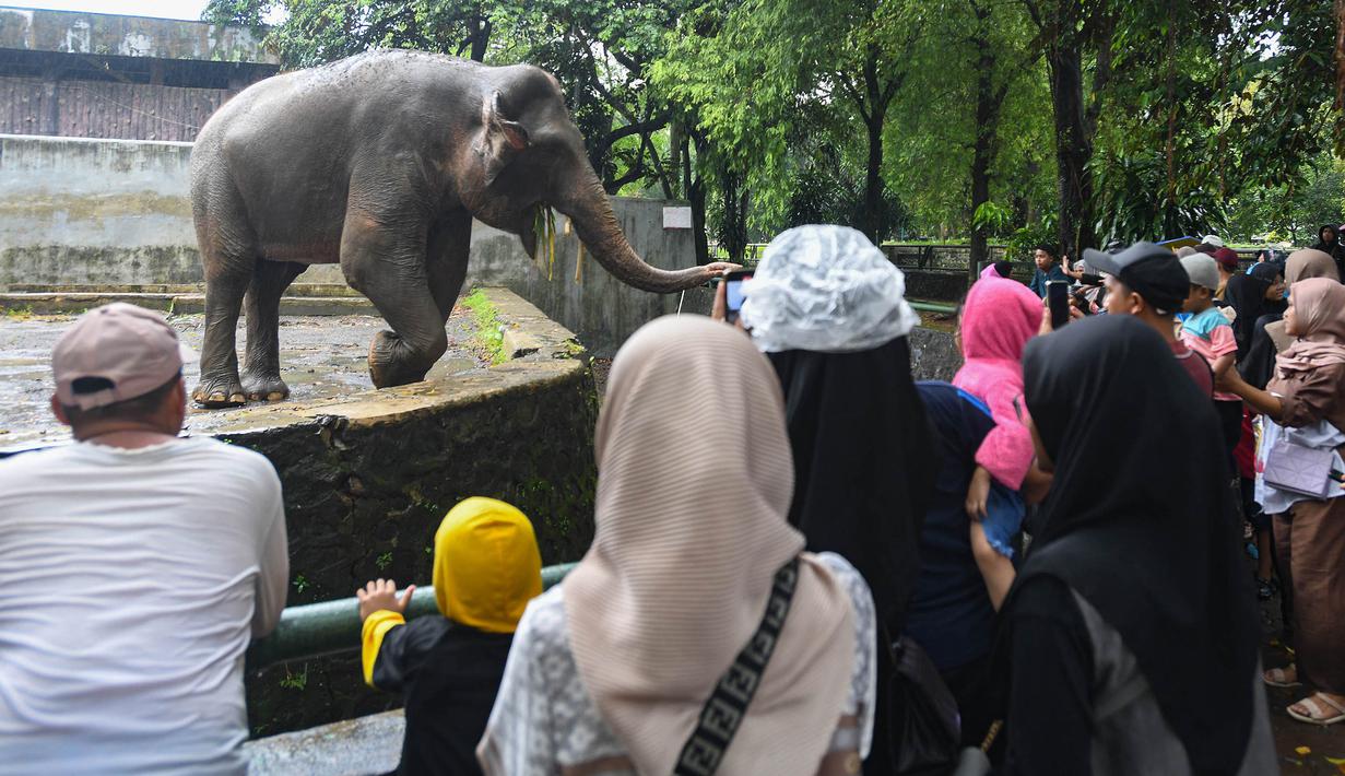 H+1 Lebaran 2025, Ribuan Pengunjung Padati Kebun Binatang Ragunan Jakarta