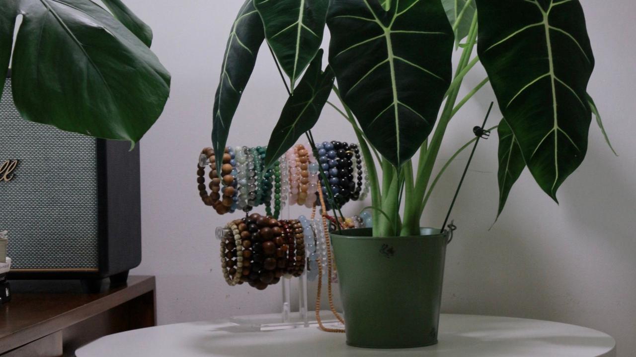 Tanaman Alocasia