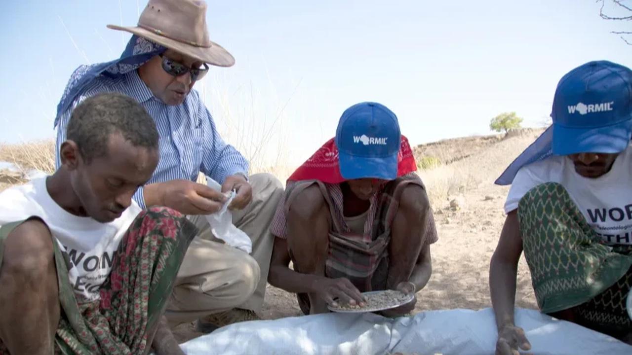 temuan fosil manusia purba di ethiopia