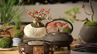 Proyek bonsai terbang ini mendapat ide dari orang Jepang  yang percaya bahwa dewa-dewa memberkahi manusia dengan musim-musim penuh warna