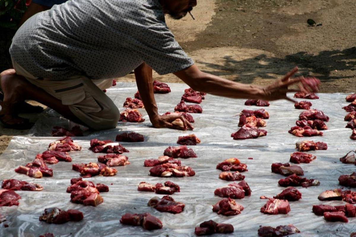 Ilustrasi Daging Kurban