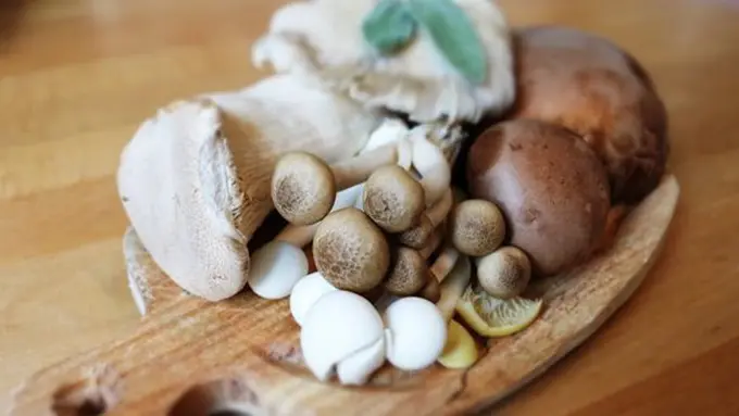 copyright pexels.com/Paula