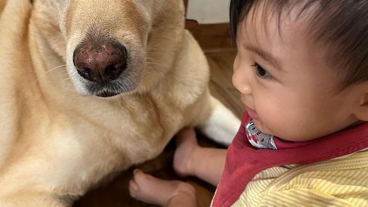 Potret Baby Timo bersama salah satu hewan peliharaannya. Chef Arnold mengabadikan foto tersebut. Ekspresi Baby Timo cute banget.