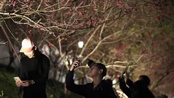 Orang-orang mengambil gambar bunga sakura pada malam hari di Taipei, Taiwan, Senin (27/2/2023). Keindahan Bunga Sakura di malam hari ternyata punya pesona sendiri. (AP Photo/Chiang Ying-ying)