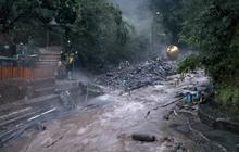 Pembalakan Liar di Lereng Gunung Slamet Diduga Jadi Biang Kerok Banjir Bandang di Guci