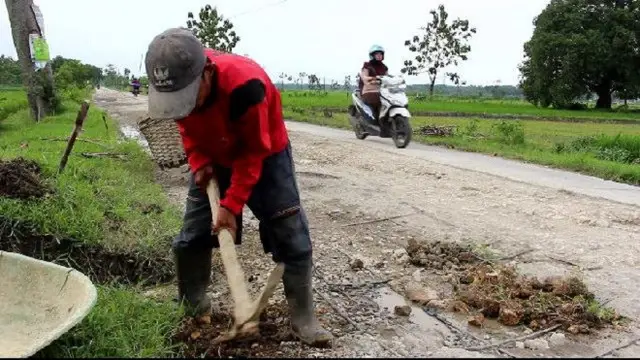 Relawan Jalan Berlubang