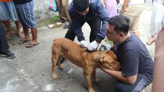 Vaksinasi Rabies di Medan